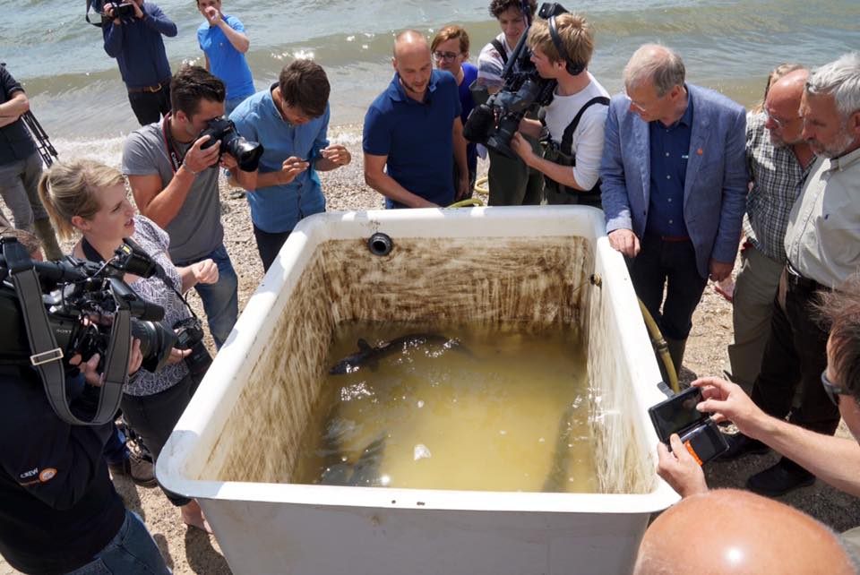 10485523_878038242282283_9167608058111585211_n