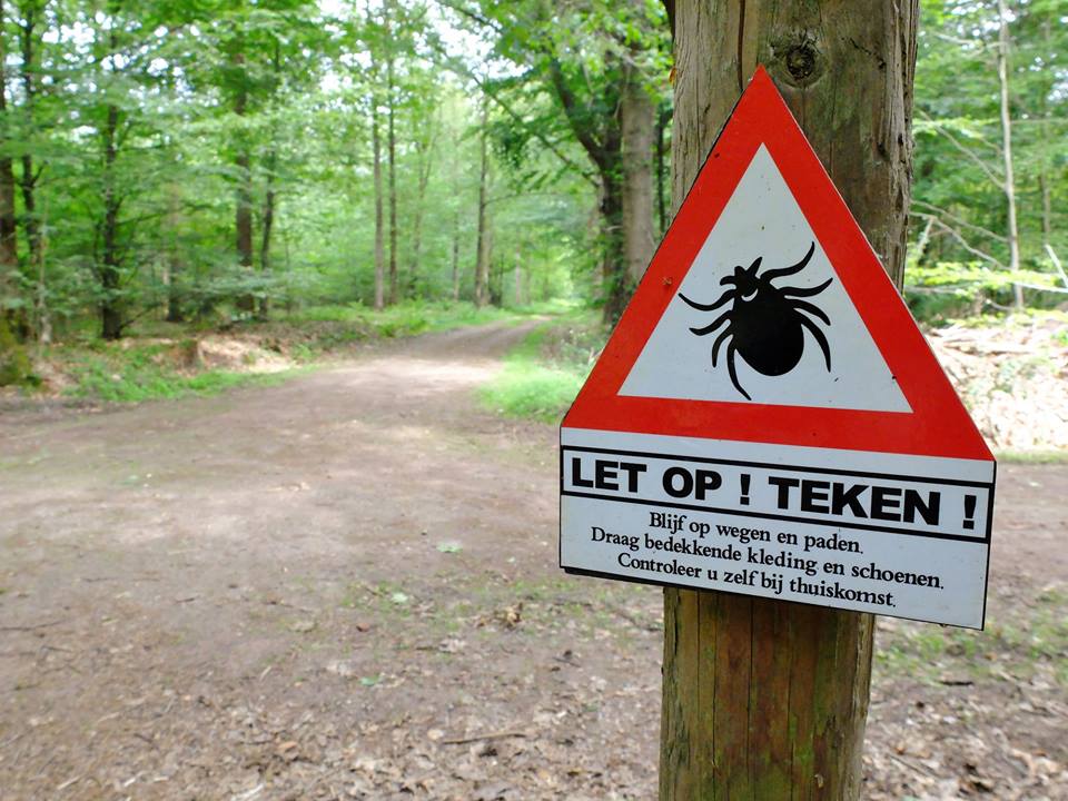 teken