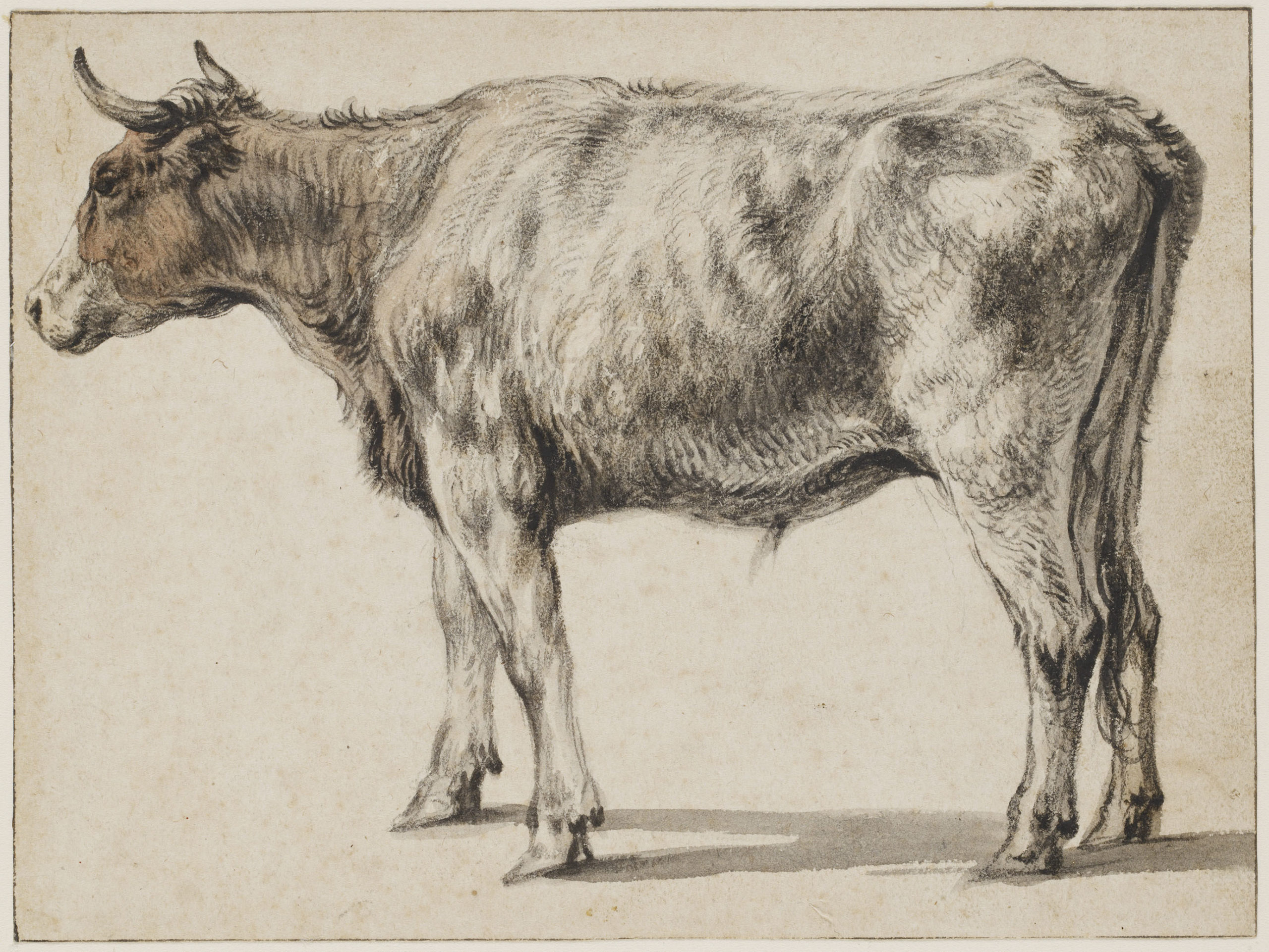 dierentekeningen