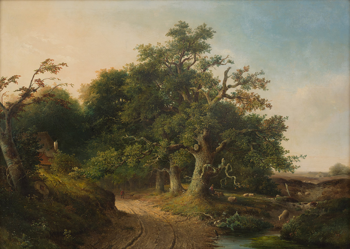 Gelderse landschappen