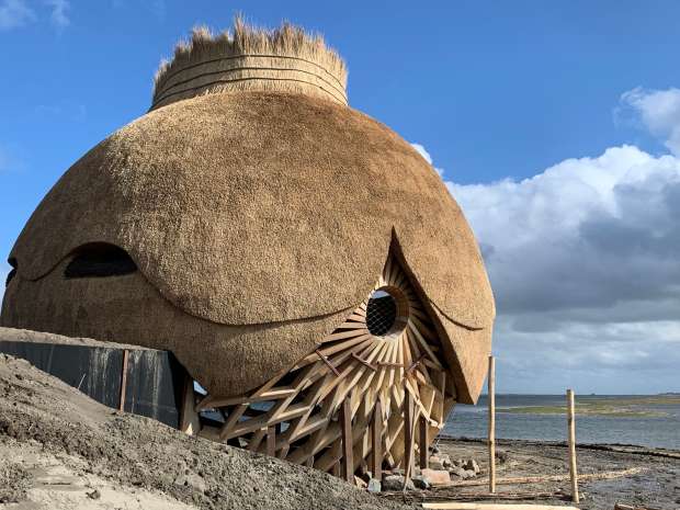 Nieuwe vogelkijksensatie: reuzenei in het Haringvliet
