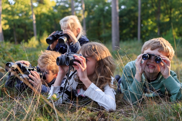 Netherlands, Hoenderlo, National Park Hoge Veluwe. Kinderbronstwandeling