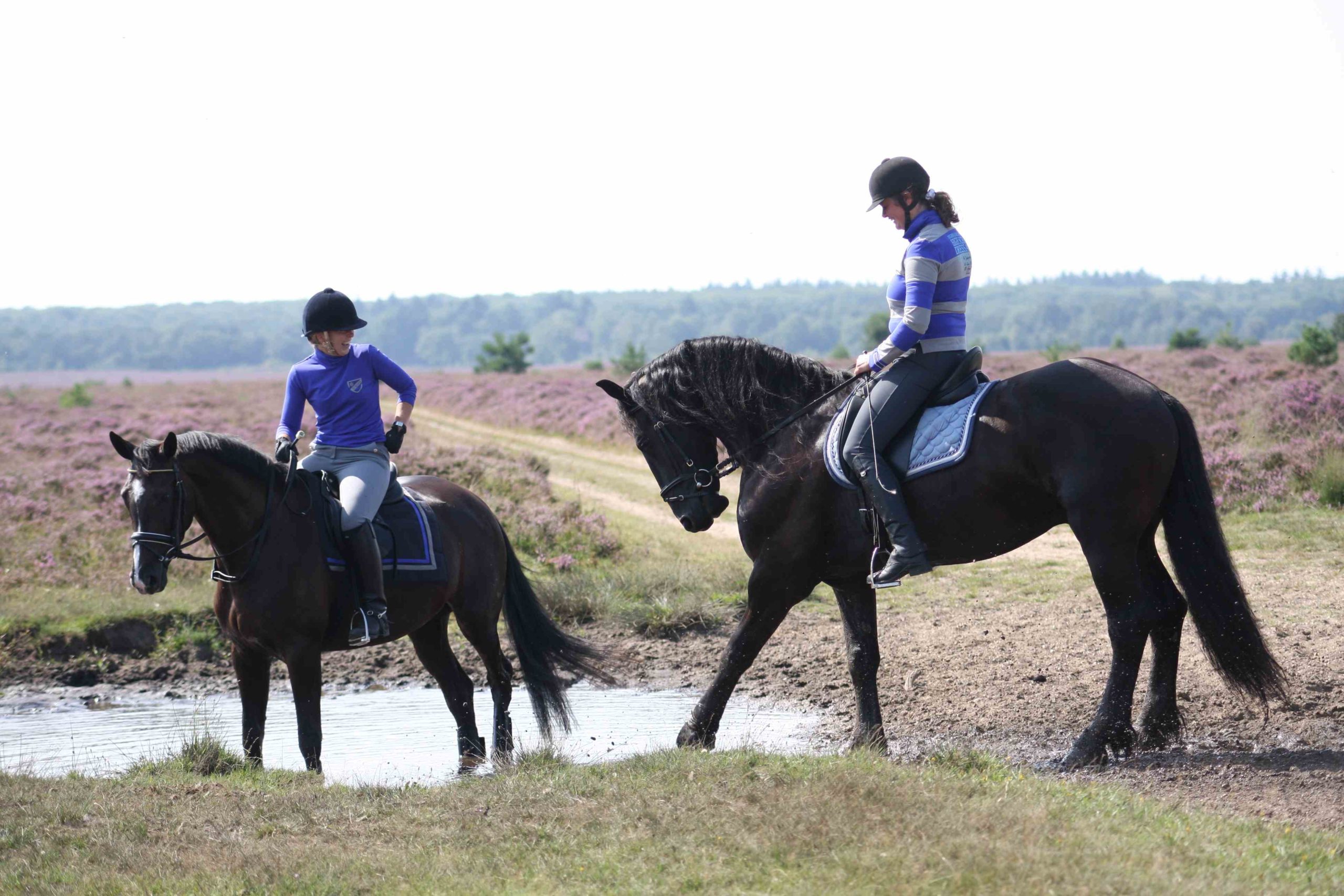KNHS, Nationaal Hippisch Centrum, Paardensport, Paardrijden, Natuur, Heide