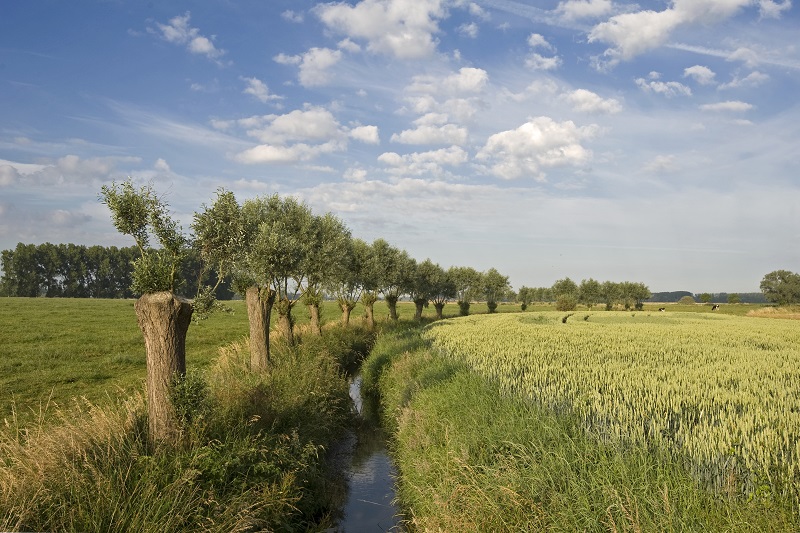 Sloot_Koen de Langhe