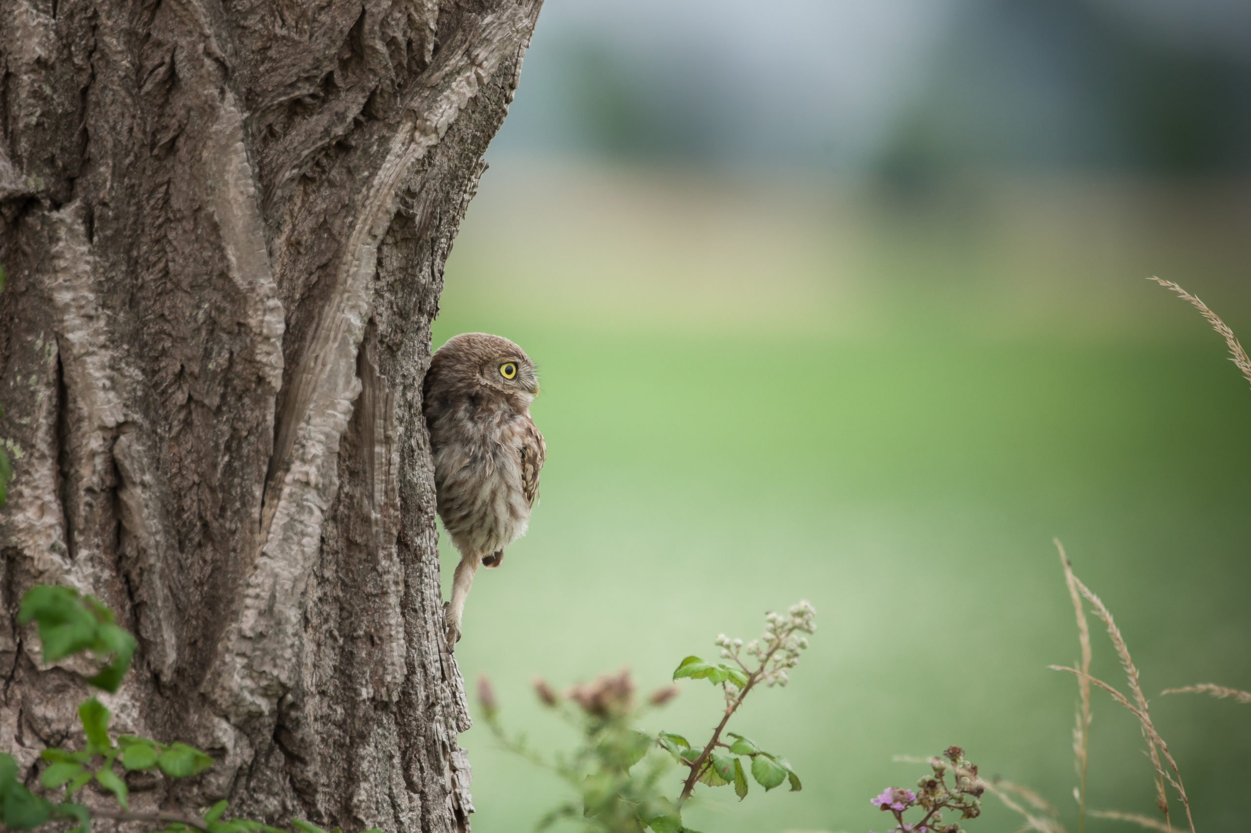 Foto van de Maand november/december wedstrijd