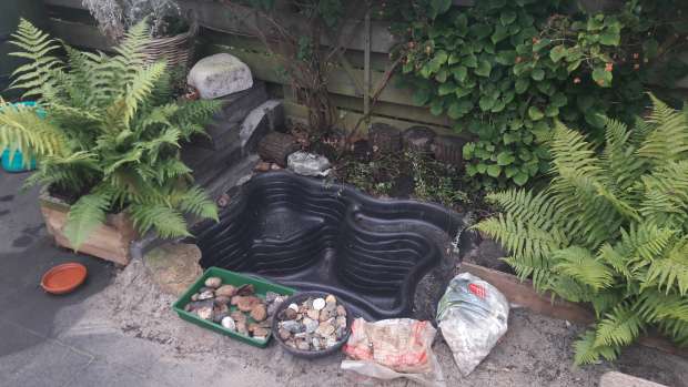 Creëer je eigen tuinvijver