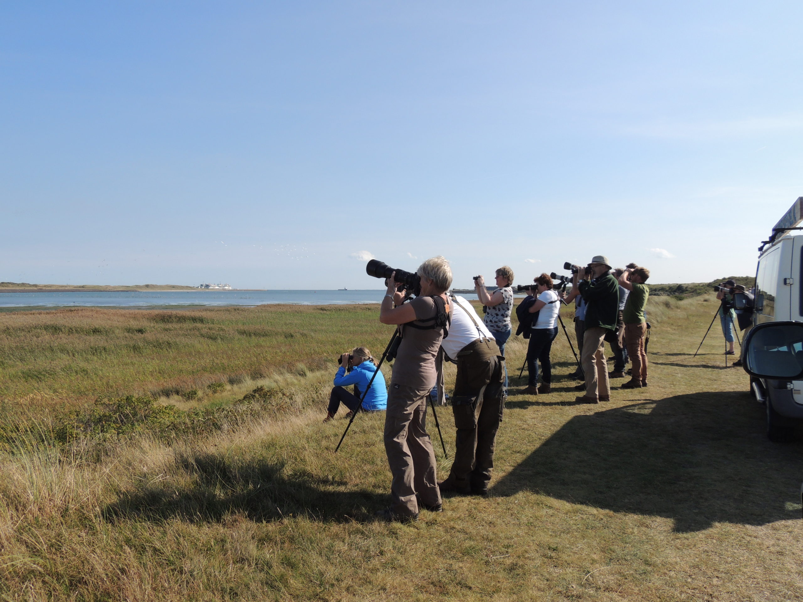 vogel-bij-de-mokbaai-paul-bohre