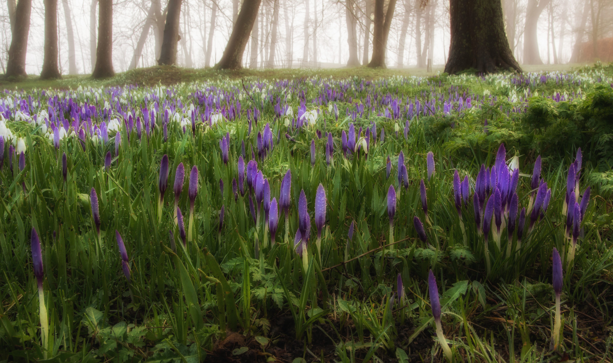 foto van de maand augustus