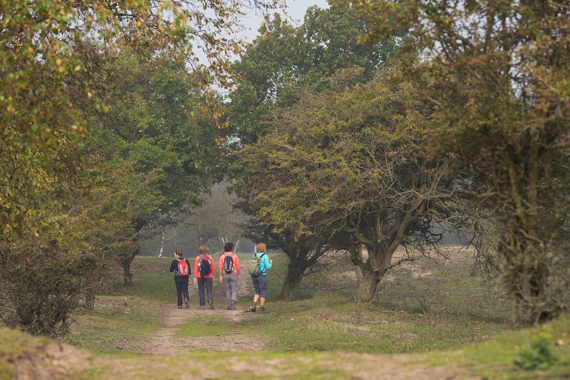 Roots / Edwin Giesbers / Amsterdamse Waterleidingduinen