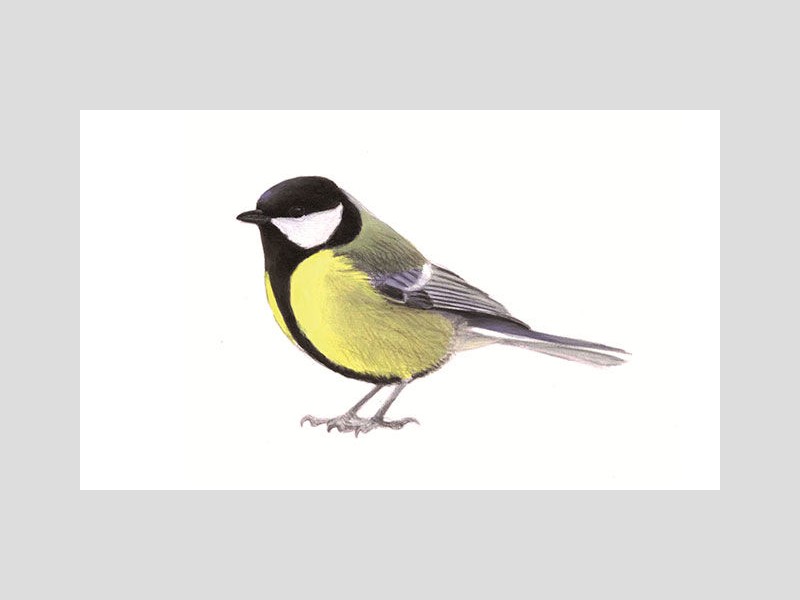 f7972012-8bd9-44ba-a082-4f619745e446