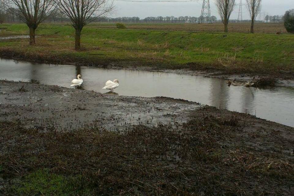 1513714_795885727092282_2145884125_n