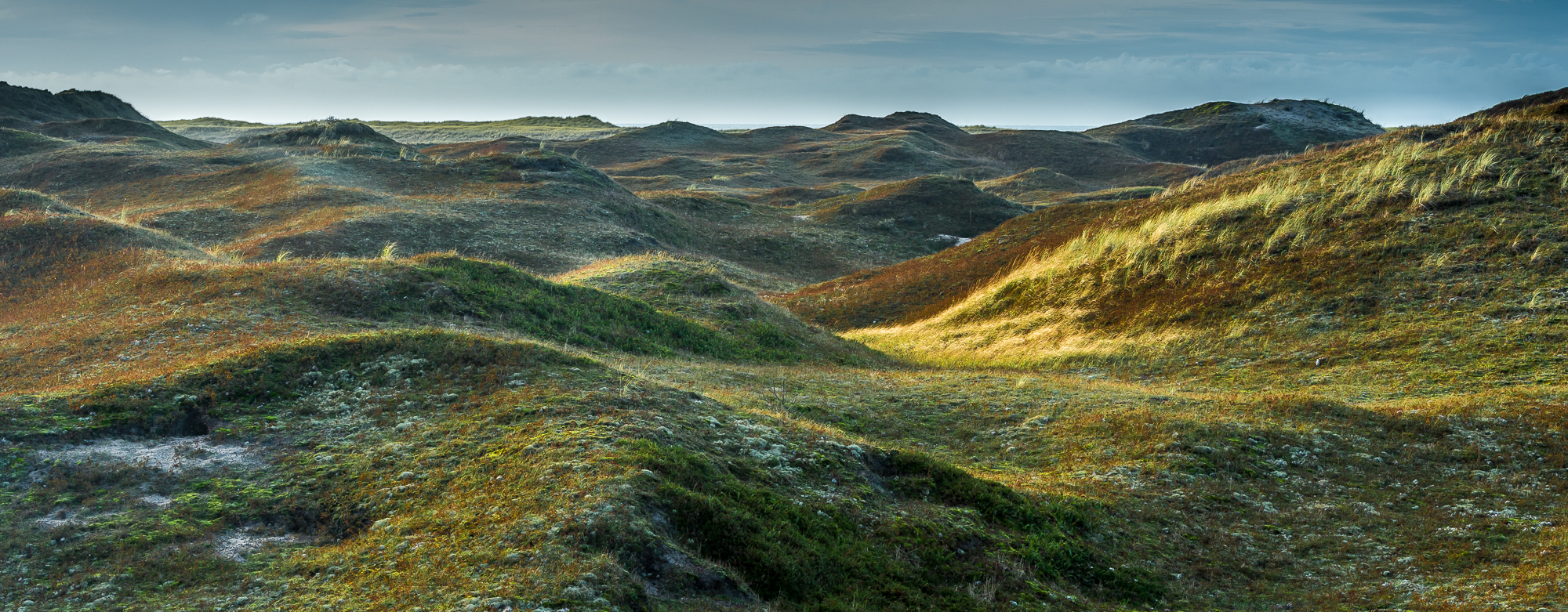 Dunes of Texel
