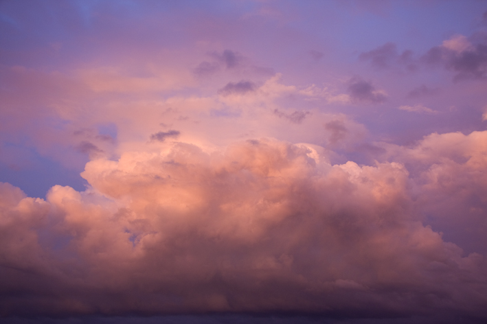 wolk