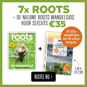 Roots stiltewandelingen aanbieding
