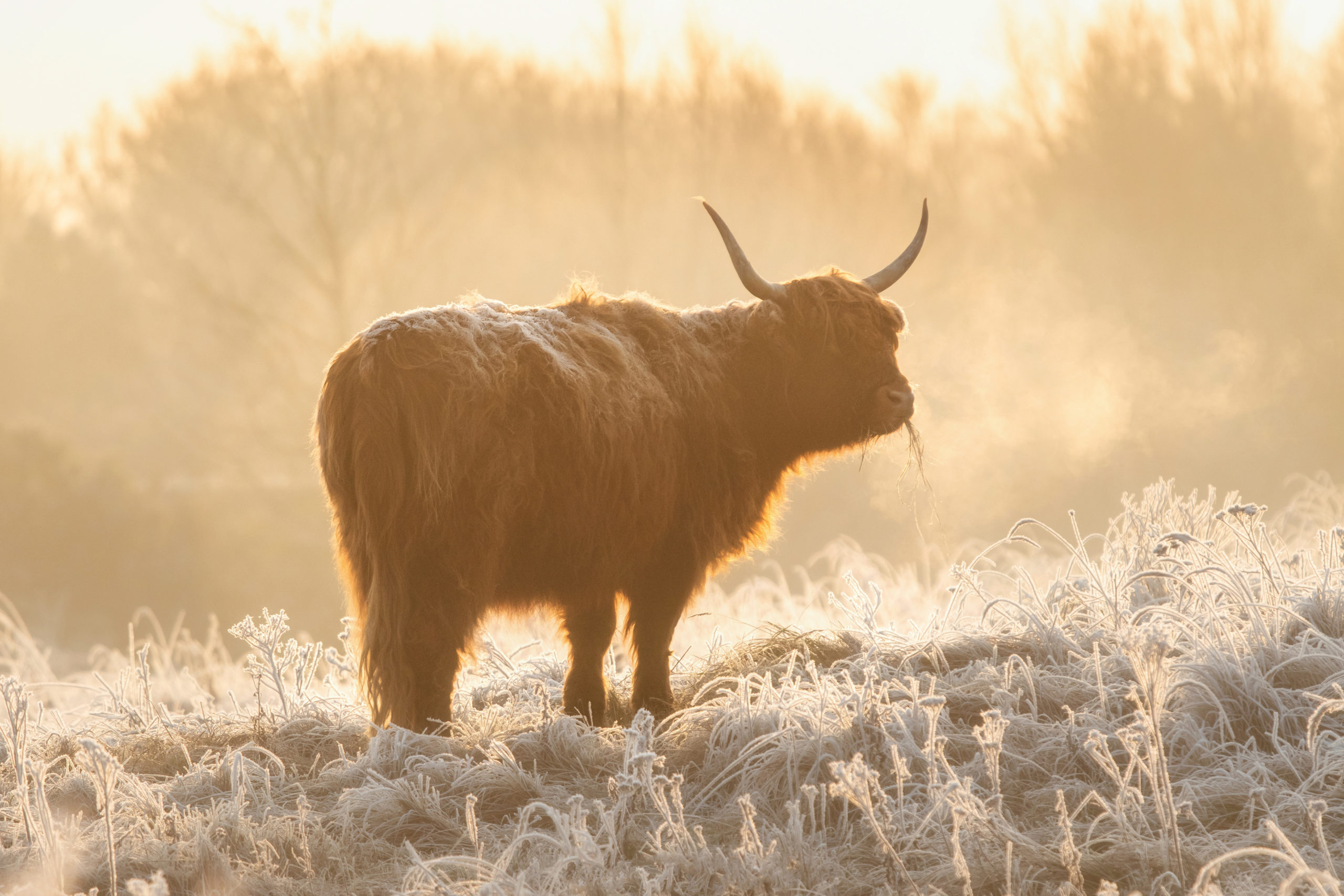 Foto van de Maand februari