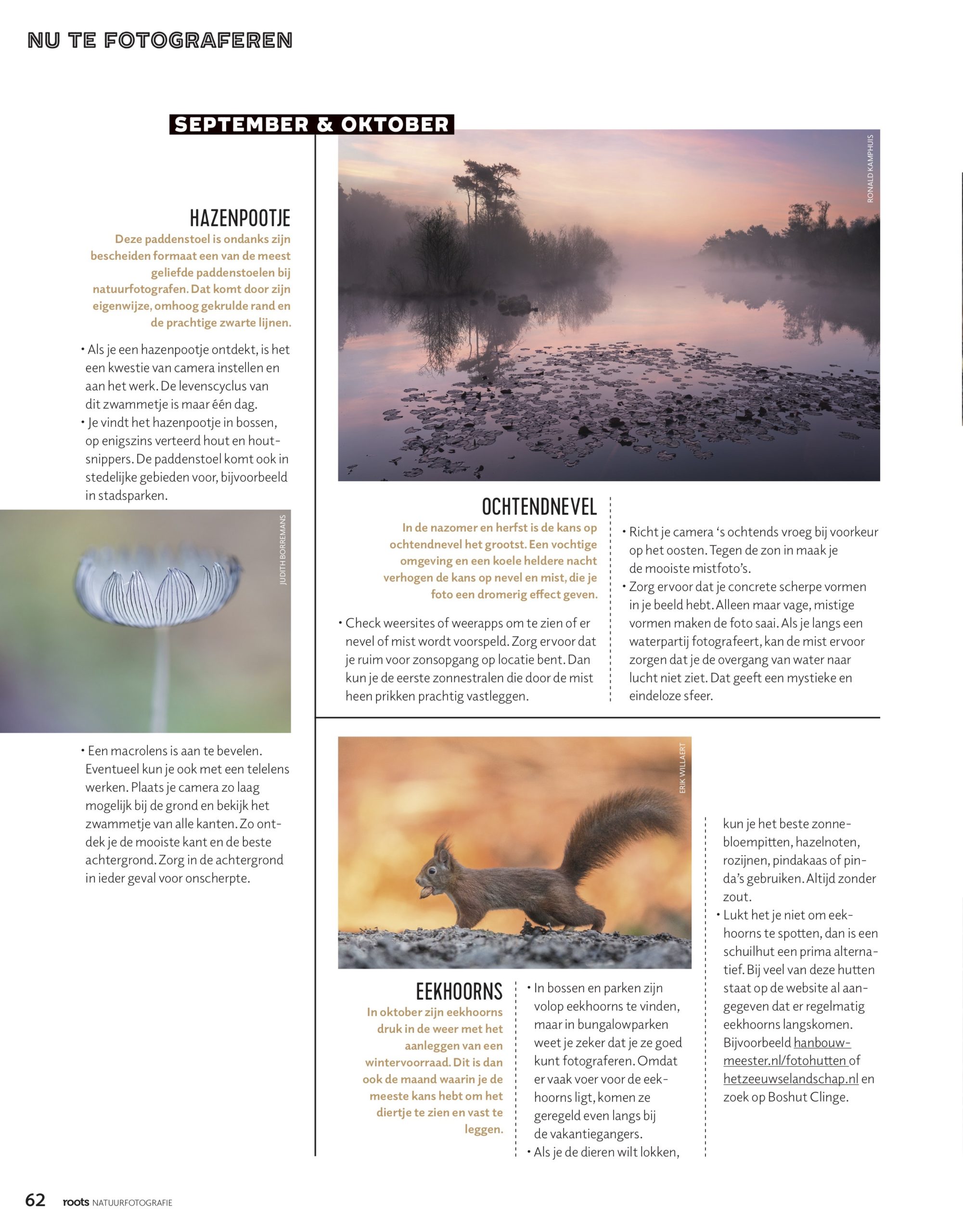 Roots Natuurfotografie Special