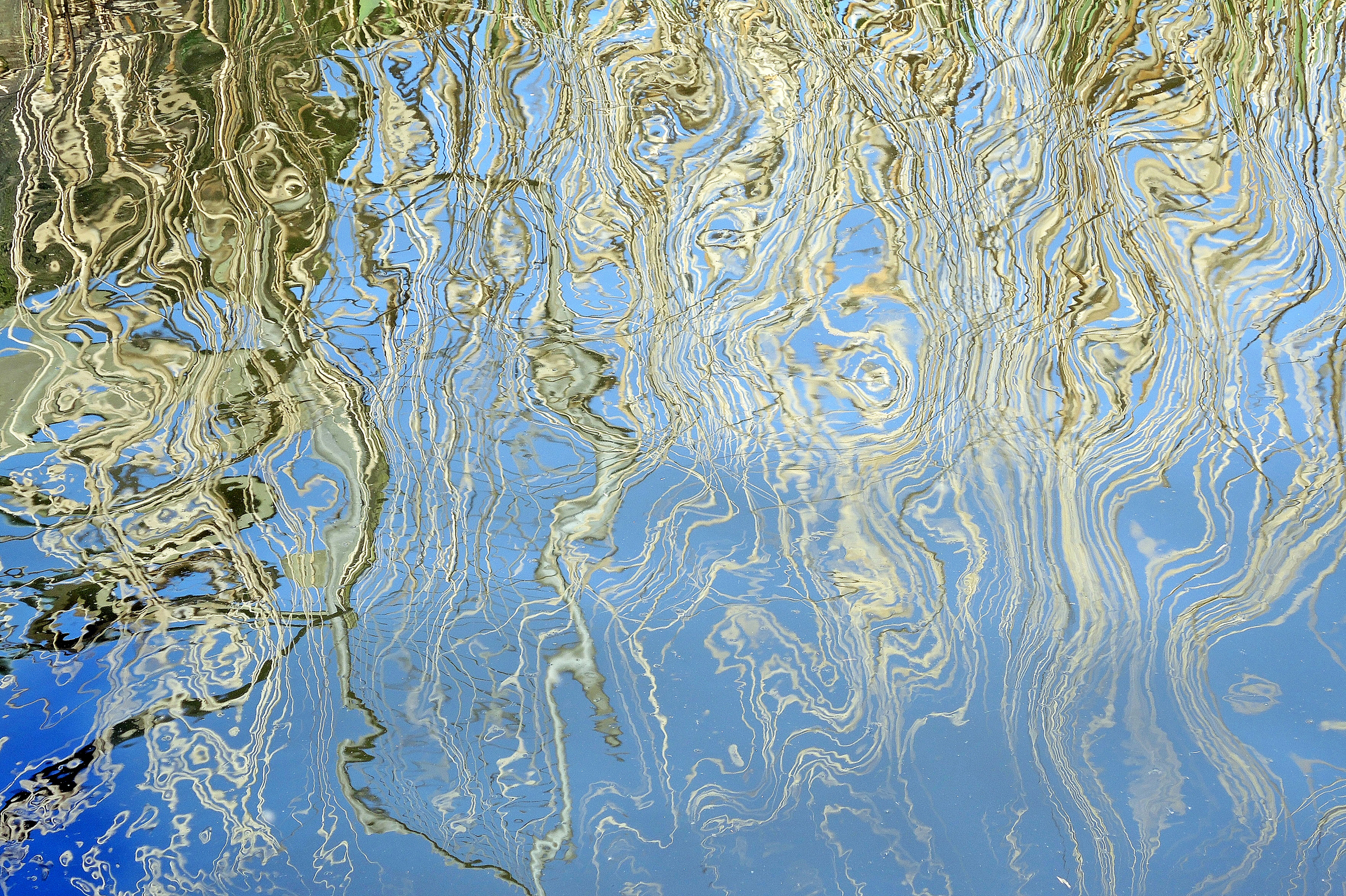 natuurkunst