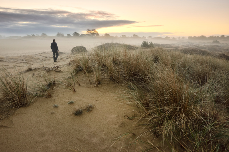 nationaal park 
drents-friese wold