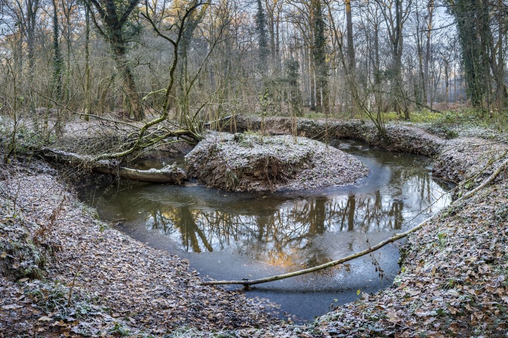Landgoed De Utrecht is 1 van de 5 Kempische landgoederen.